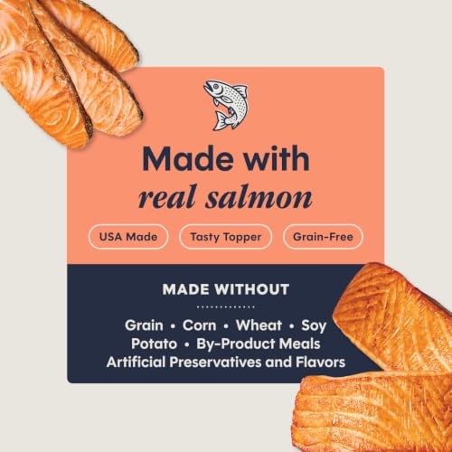 Healthy Cravings Wet Cat Toppers (3 Ounce (Pack of 24))