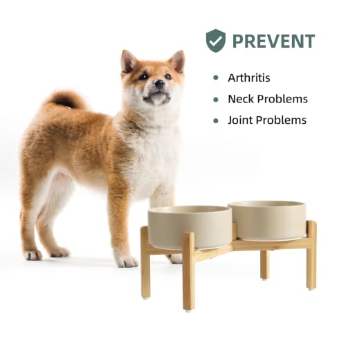 Dog Bowls Elevated (Matte Khaki)