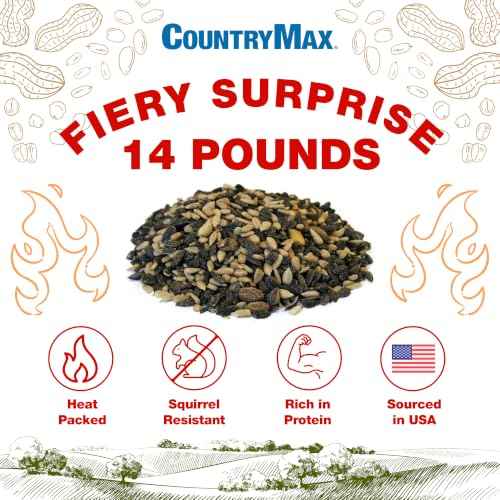 Backyard Seeds 14LB Fiery Surprise Spicy Bird Seed Blend (Fiery Surprise / 14 Pound (Pack of 1))