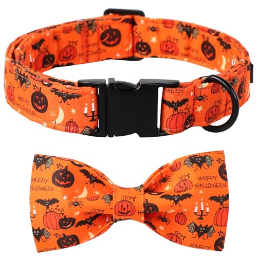Fall Halloween Dog Collar (Medium (Pack of 1) / A:Hallows eve)