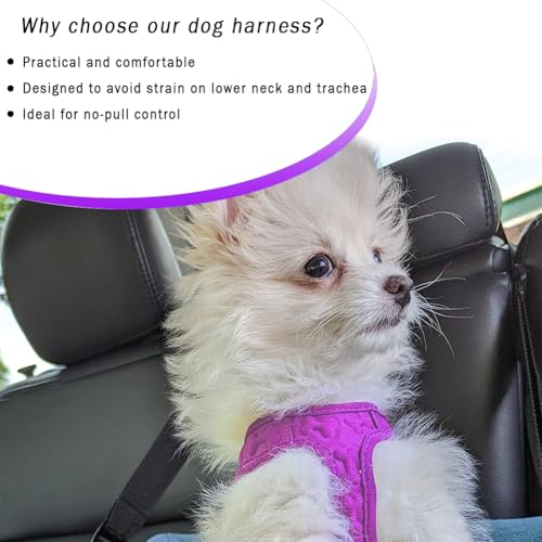 Comfort Fit Dog Harness Step In No Pull Harness for Medium Small Sized Dogs Soft Padded No Escape Harness Adjustable Easy Buckle with Leash Attachment D (S (Chest 14.5"-17") / Purple Plush)