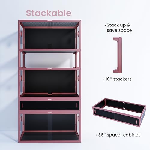 50 Gallon Reptile Enclosure (Bloom Pink / 50 Gallon)
