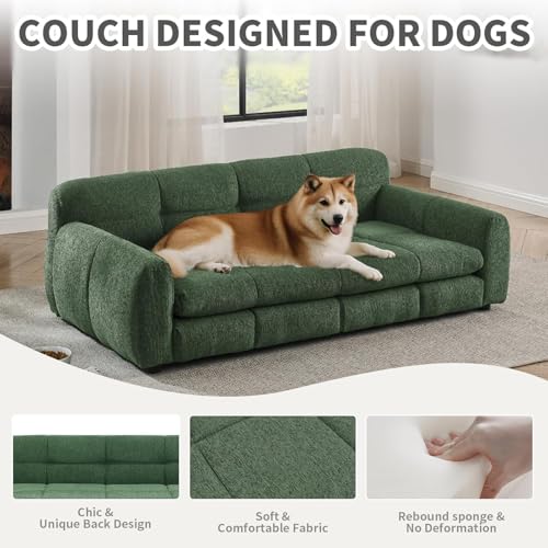Elevated Dog Couch Bed (51 inch / Emerald Green)
