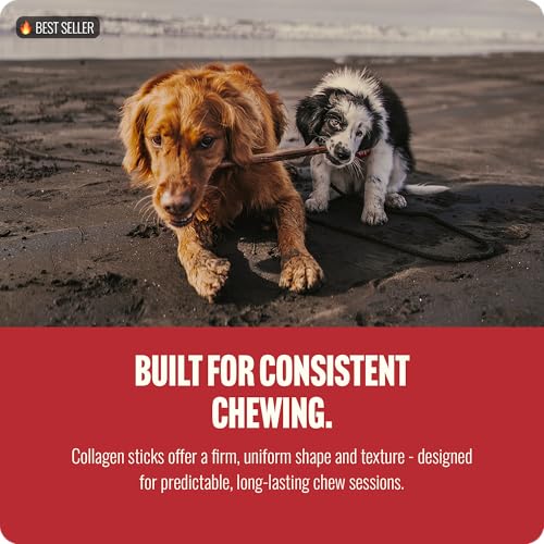 Bully Coated Gourmet Collagen Sticks (12" Gourmet - 5 Count)