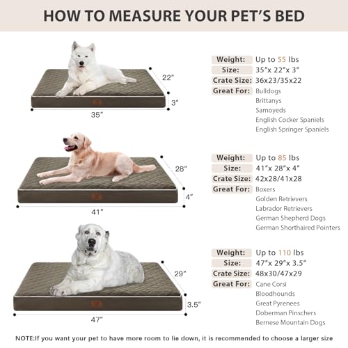 Orthopedic XXL Dog Beds for Large Senior Dog Bed Comfy Sleeping (Dark Green / 47"L x 29"W x 3.5"Th)