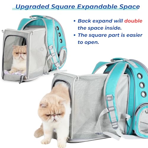 Expandable Bubble Cat Carrier Backpack (Square Back Expandable-Green)
