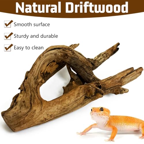 Bearded Dragon Driftwood for Reptile