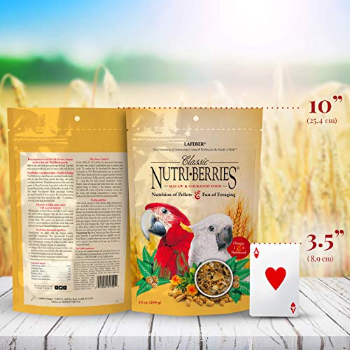 Classic Nutri (10 Ounce (Pack of 1))