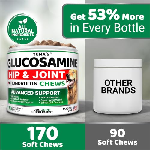 2 Pack) Glucosamine for Dogs - 340 Ct - Hip and Joint Supplement for Dogs (Glucosamine / 340 Chews)