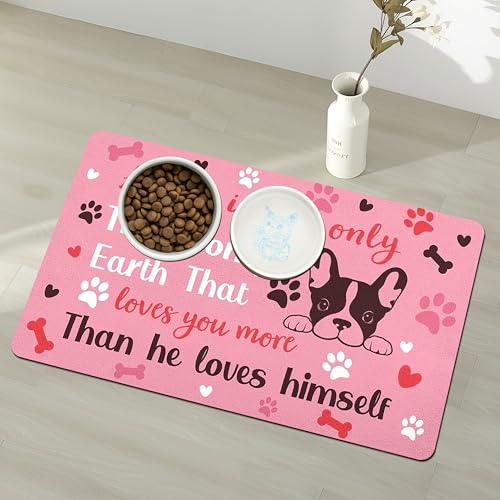 Pet Feeding Mat for Floors Waterproof Dog Mat for Food and Water Absorbent Quick Dry Non Slip mat for Cat Bowls (20"L x 12"W / Pink)