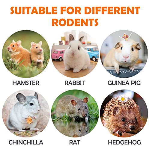 28Pcs Timothy Hay Treats Rabbit Toys Bunny Toys Guinea Pig Natural Handmade Treats and Chews for Small Animals Hamster Chinchilla Rat Gerbil