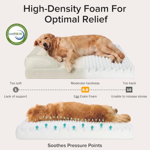 Jumbo Orthopedic Dog Bed for Extra Large Dogs (Beige / XL-PLUS (45"x 32"x 7.5"))