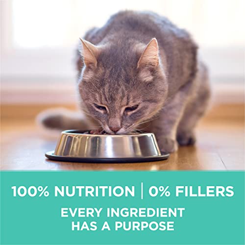 Sensitive Skin and Stomach Dry Cat Food 16 lb Bag (16 Pound (Pack of 1))