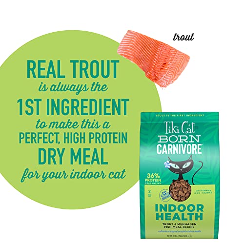 Tiki Cat Indoor Health Dry Cat Food
