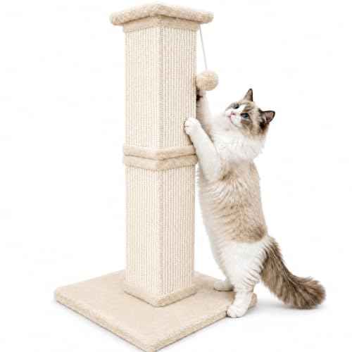 Cat Scratching Post for Indoor Cats (Cream Beige)