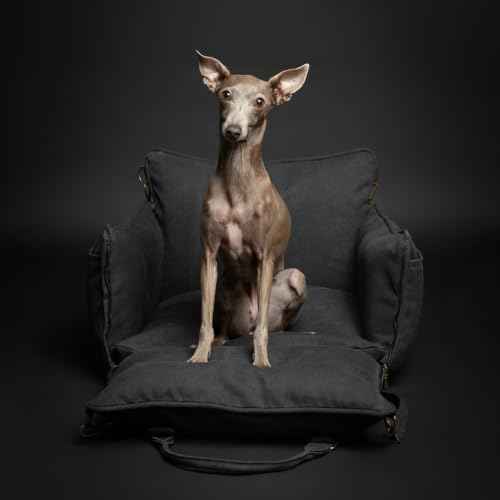 Dog Car Seat Booster for Small Dogs & Cats Under 25lb (Charcoal - Canvas / Medium)