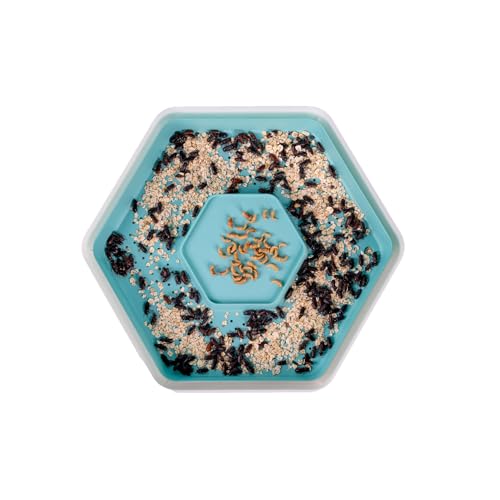 Mealworm Breeding Growing Kit
