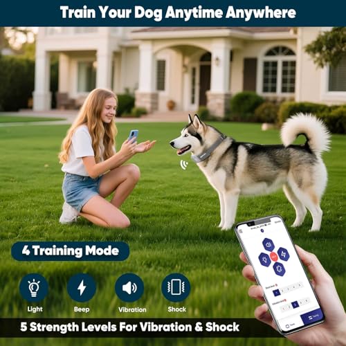 GPS Wireless Dog Fence (Grey)