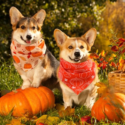 50 Pcs Fall Dog Bandanas Bulk (Fall Pumpkins / 25.6 x 17.7 x 17.7")