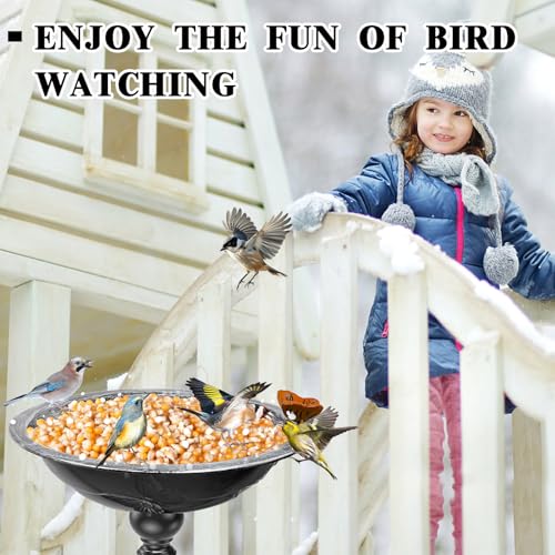 35In Bird Bath for Outside (Vintage Silver)