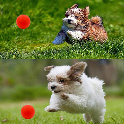 Puppy Balls Pack with Different Functions & Teething Toys for Small Dogs (Small (4 Pack))