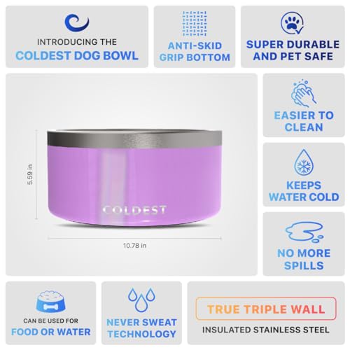 Coldest Dog Bowl (200 oz / Saturns Purple Glitter)