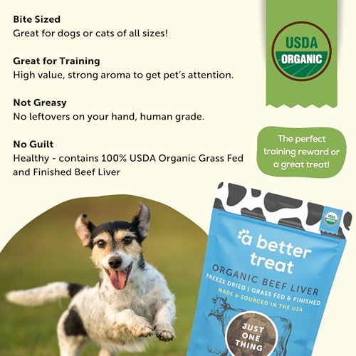 Organic Freeze Dried (9 Ounce (Pack of 1))
