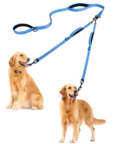 Double Dog Leash (Light Blue)