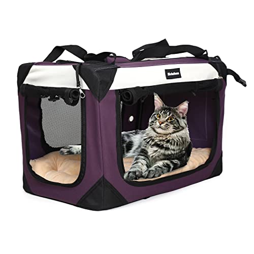 Large Cat Carrier (24.0"L x 16.0"W x 16.0"H / Purple)