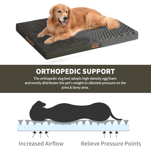 Outdoor Waterproof Orthopedic Dog Bed for Medium Size Dogs (Coffee / 35.0"L x 22.0"W x 3.0"Th)