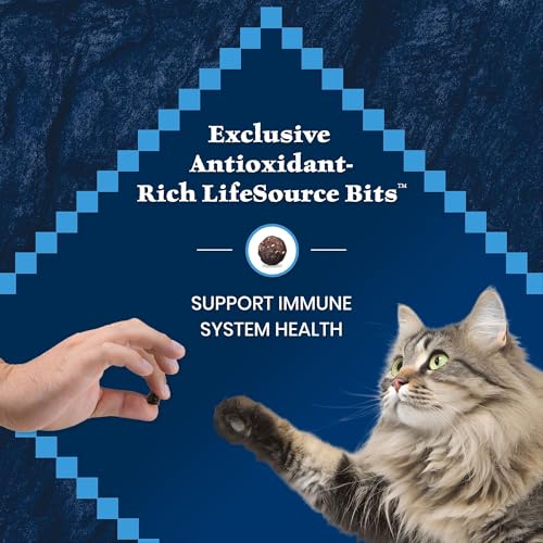 Wilderness Salmon Adult 7+ Dry Cat Food (5 Pound (Pack of 1))