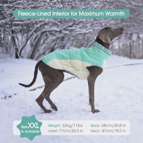 Dog Coat for Large Dogs (Mint Green / XXXL(chest:43in))