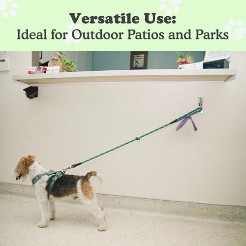 Canine Hitch Secure Dog Leash Parking Wall Slim Hook with Clip 2 Pack