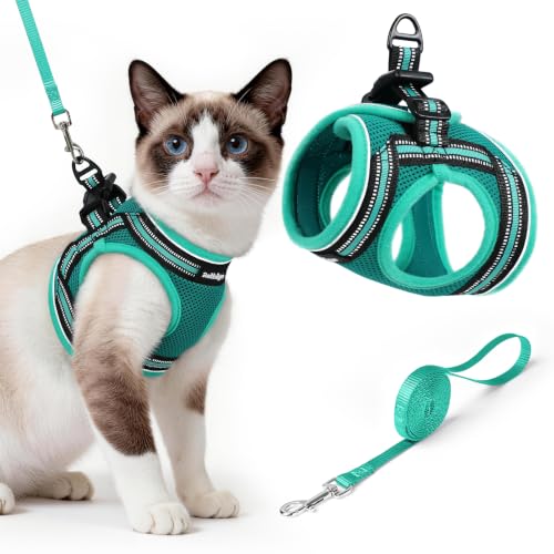 Cat Harness and Leash Set (L / Turquoise & Green)