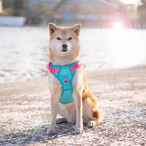 No Pull Dog Harness (Mint Green Base & Pink Straps / Extra Small)