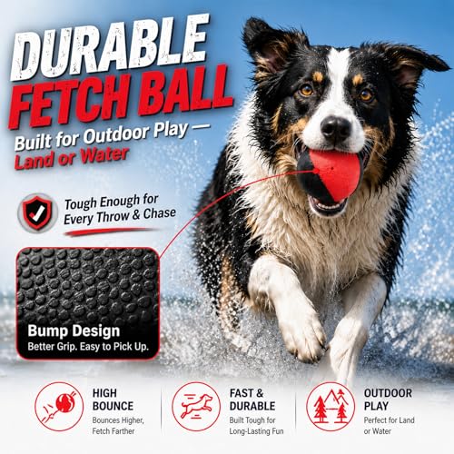 Squeaky Balls for Dogs (RedBlack)