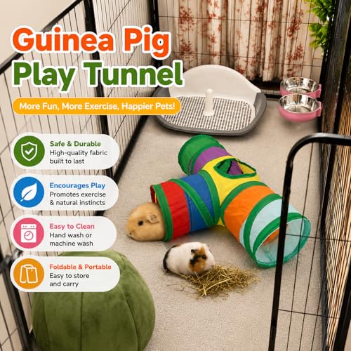 Guinea Pig Tunnel Hideout 3 (Rainbow)
