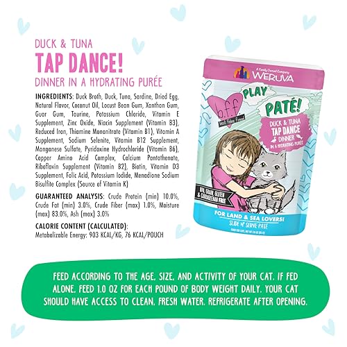 B.F.F. Play Best Feline Friend Paté Lovers (3 Ounce (Pack of 12))