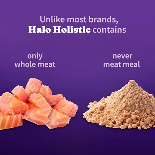 Holistic Dry Cat Food