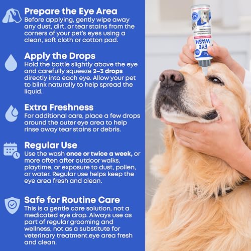 Dog Eye Drops & Eye Infection Treatment for Dogs and Cats