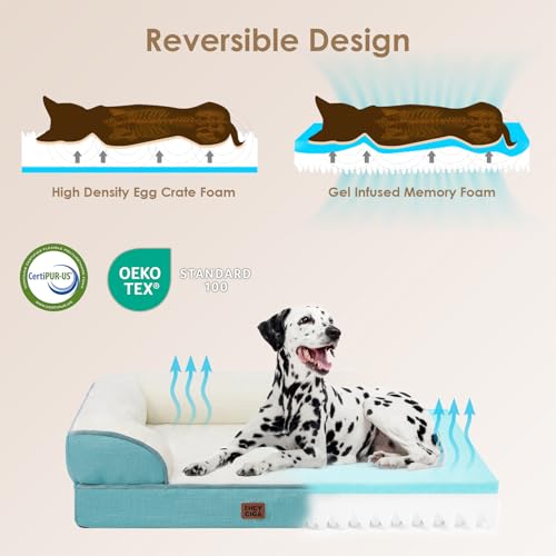 Orthopedic XXL Dog Bed (Turquoise Blue / 52.0"l X 41.0"w X 8.0"th)