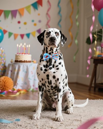 5 Pack Happy Birthday Dog Bowties for Large Dogs Slide on Collar (M/L)