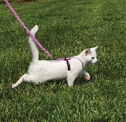 Come with Me Kitty Harness and Bungee Cat Leash (Small (Pack of 1) / Dusty Rose)