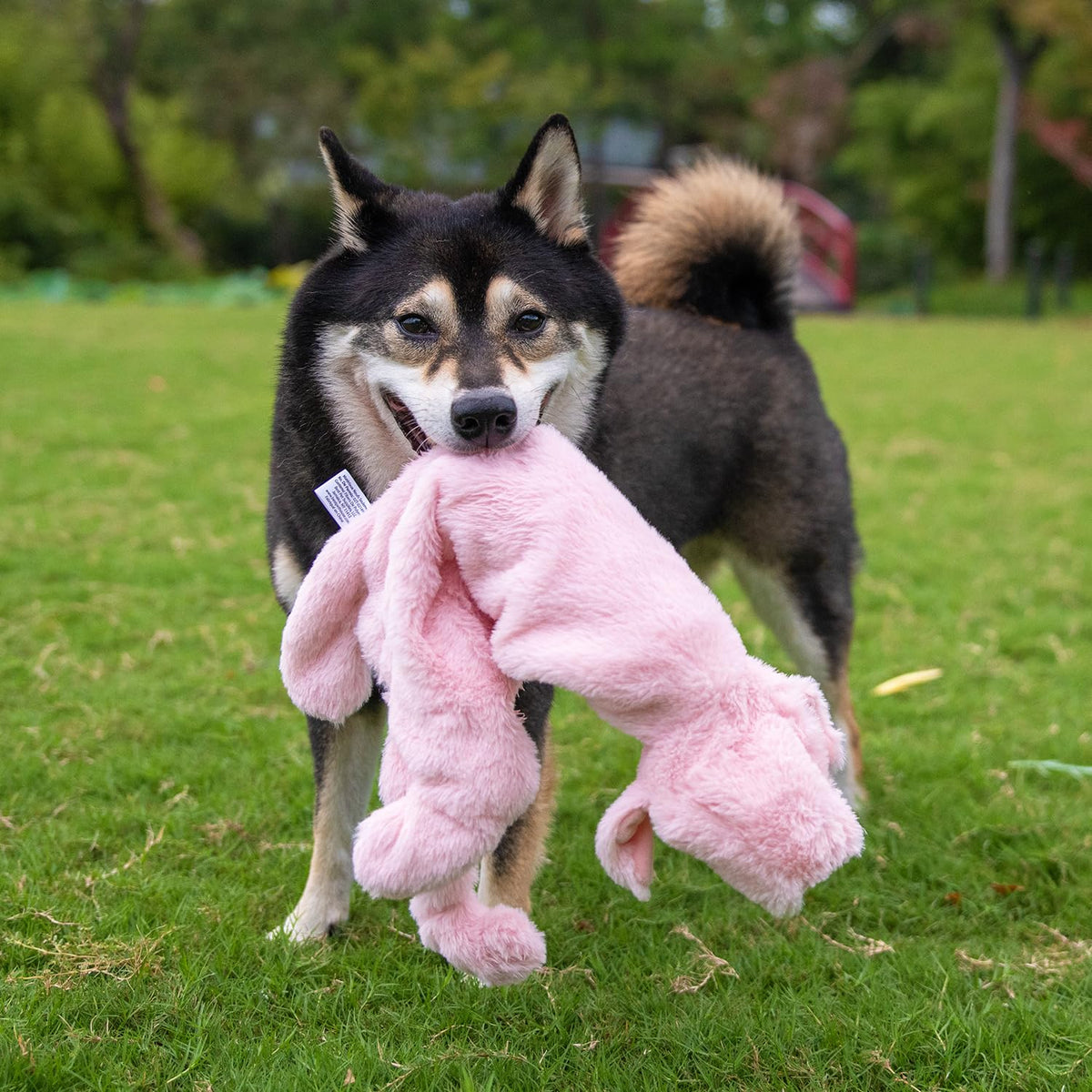 2-in-1 Stuffless Squeaky Dog Toy - Wild Duck, Pig, Large (Multicolor/Pig & Wild Duck / Large)