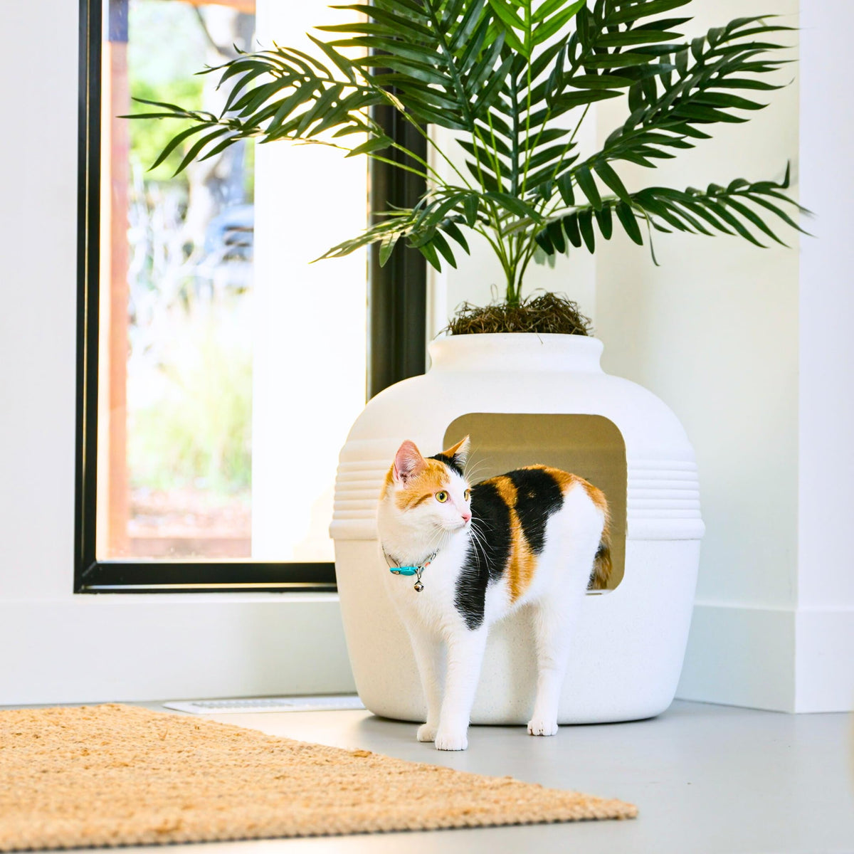 Original Hidden Litter Box Planter (Palm Plant / Essentials Kit / Soft White)