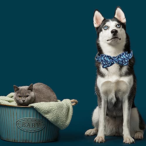 Dog Collar with Bow (Shark / Small (Pack of 1))