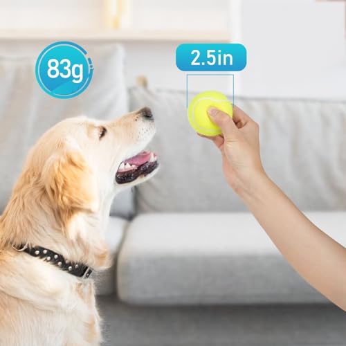 Tennis Balls for Dogs 3 Pack 2.5” (2.5" Non-Squeaky / 3 Pack, Yellow)