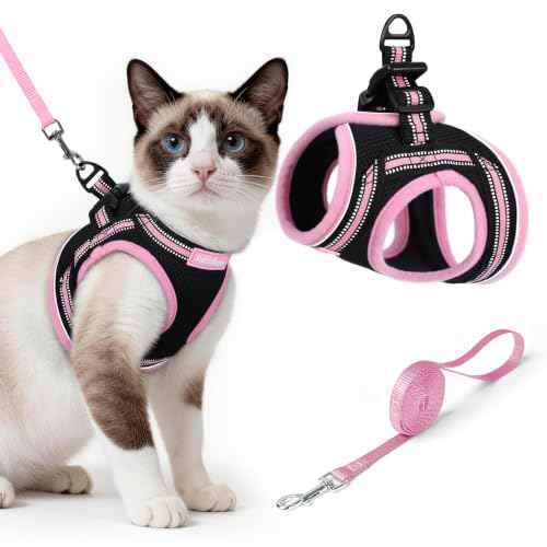 Cat Harness and Leash Set (L / Black & Pink)