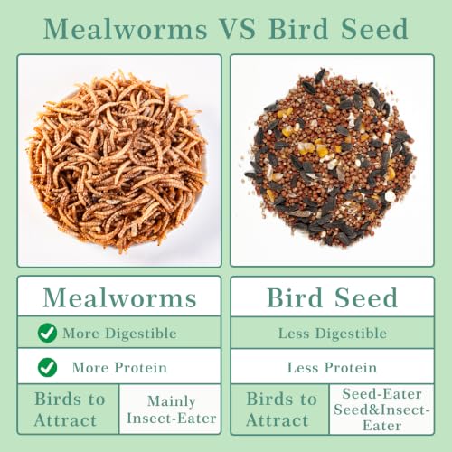 Dried Mealworms for Wild Birds and Chicken