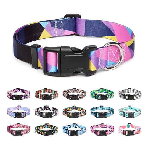 Adjustable Dog Collar (Medium / Geometry Purple)